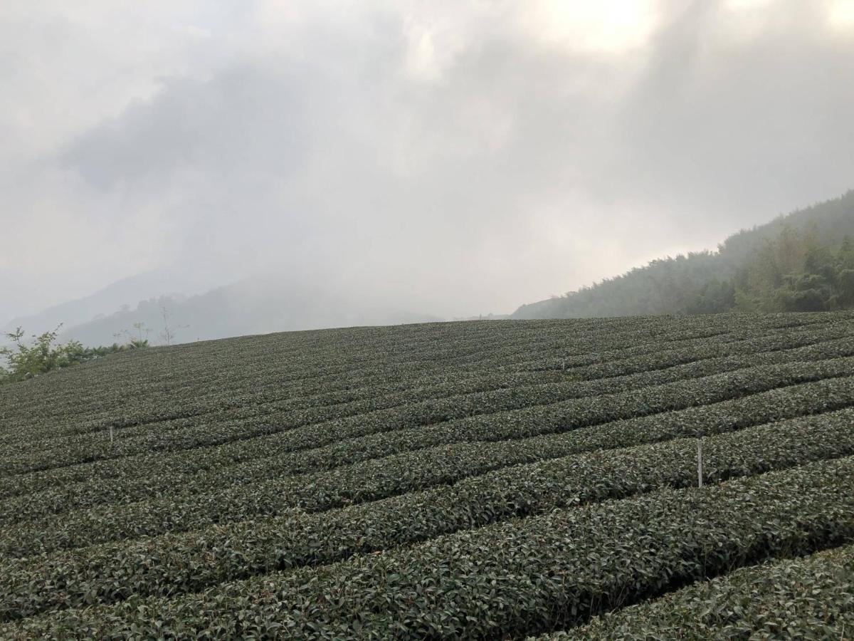 Villa 悟 佐茶 Satori tea Leye Esterno foto